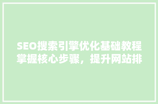 SEO搜索引擎优化基础教程掌握核心步骤，提升网站排名