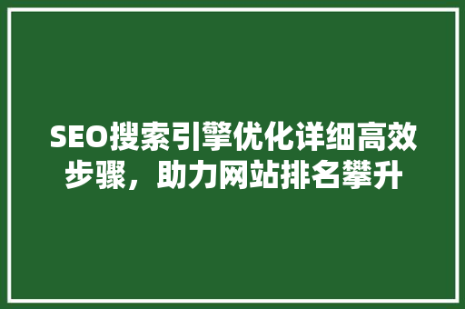 SEO搜索引擎优化详细高效步骤，助力网站排名攀升