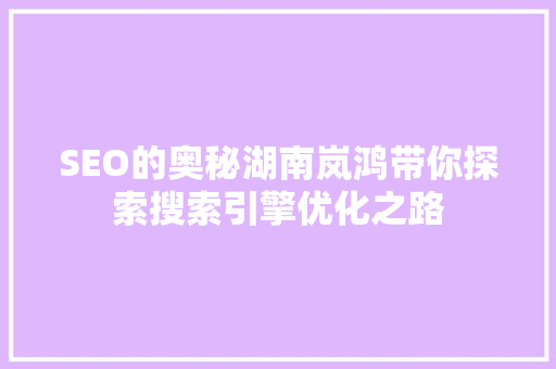 SEO的奥秘湖南岚鸿带你探索搜索引擎优化之路