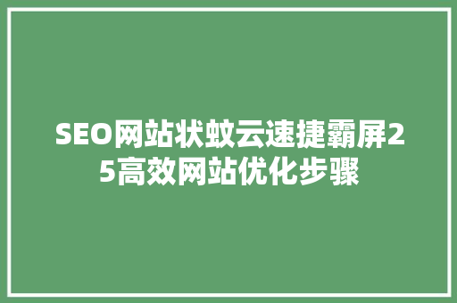 SEO网站状蚊云速捷霸屏25高效网站优化步骤