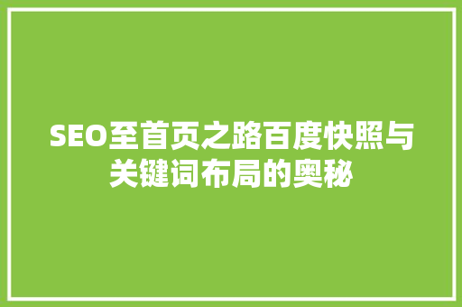SEO至首页之路百度快照与关键词布局的奥秘