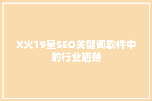 X火19星SEO关键词软件中的行业翘楚