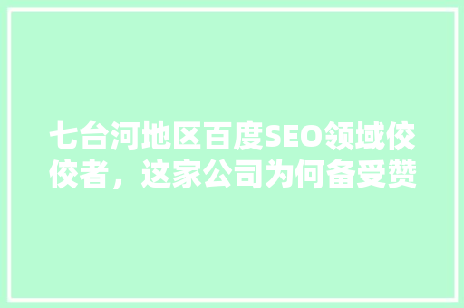 七台河地区百度SEO领域佼佼者，这家公司为何备受赞誉