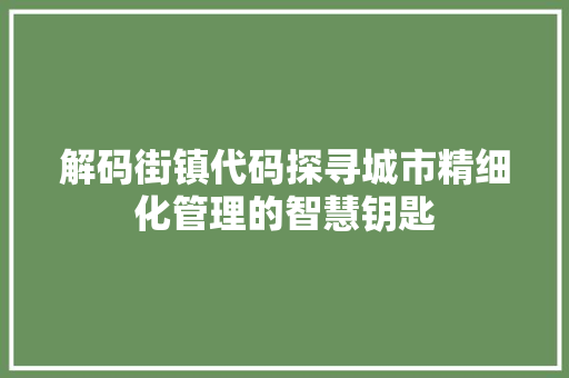 解码街镇代码探寻城市精细化管理的智慧钥匙
