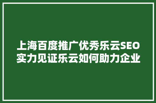 上海百度推广优秀乐云SEO实力见证乐云如何助力企业实现线上增长