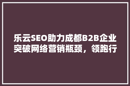 乐云SEO助力成都B2B企业突破网络营销瓶颈，领跑行业竞争
