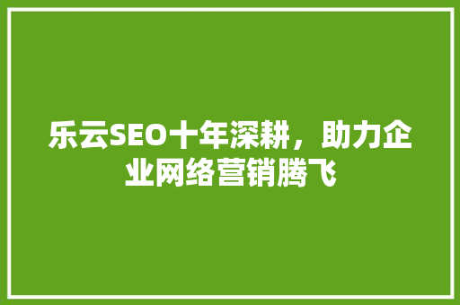乐云SEO十年深耕，助力企业网络营销腾飞