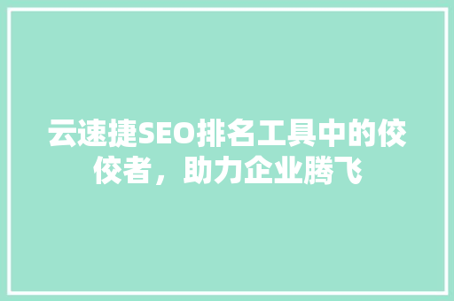 云速捷SEO排名工具中的佼佼者，助力企业腾飞