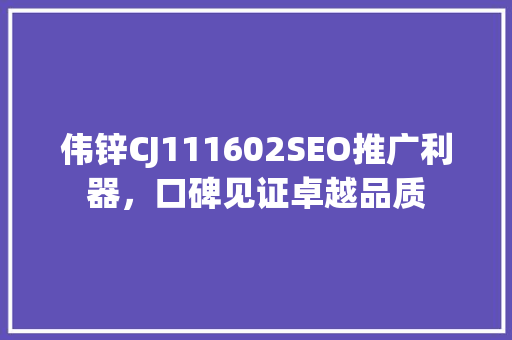 伟锌CJ111602SEO推广利器，口碑见证卓越品质