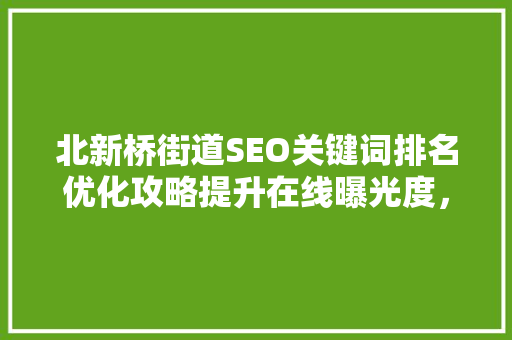 北新桥街道SEO关键词排名优化攻略提升在线曝光度，助力区域发展