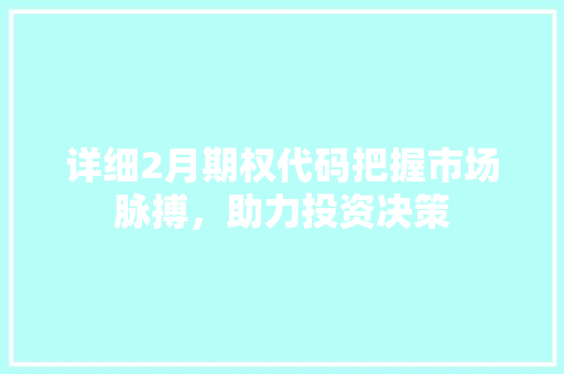 详细2月期权代码把握市场脉搏，助力投资决策