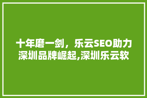 十年磨一剑，乐云SEO助力深圳品牌崛起,深圳乐云软件十年品牌推广之路