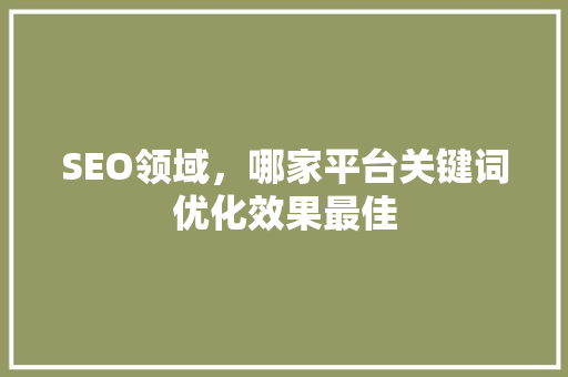 SEO领域，哪家平台关键词优化效果最佳
