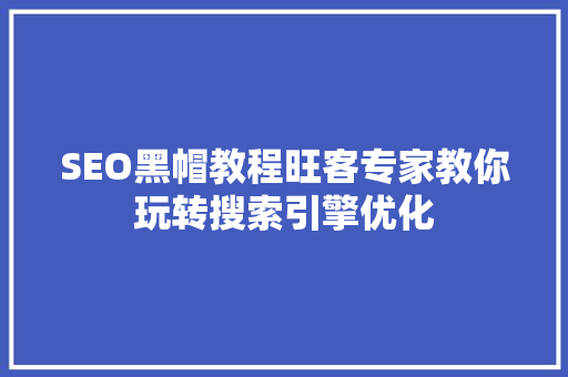 SEO黑帽教程旺客专家教你玩转搜索引擎优化