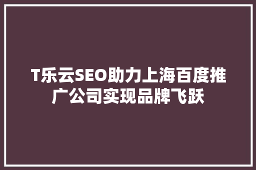 T乐云SEO助力上海百度推广公司实现品牌飞跃