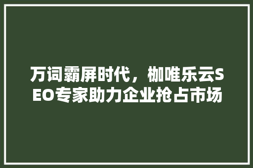 万词霸屏时代，枷唯乐云SEO专家助力企业抢占市场先机