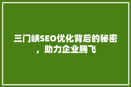 三门峡SEO优化背后的秘密，助力企业腾飞