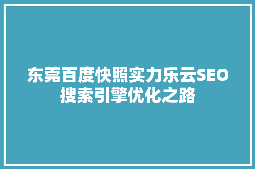 东莞百度快照实力乐云SEO搜索引擎优化之路
