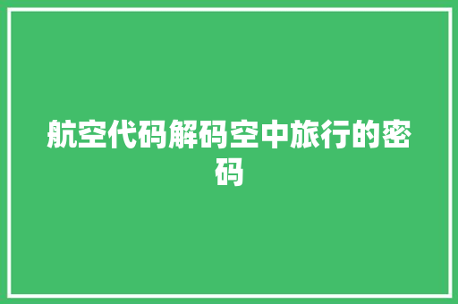 航空代码解码空中旅行的密码
