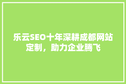 乐云SEO十年深耕成都网站定制，助力企业腾飞