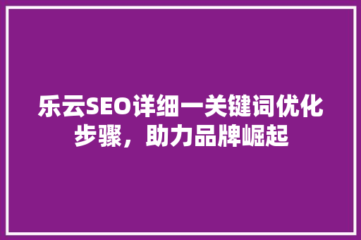 乐云SEO详细一关键词优化步骤，助力品牌崛起