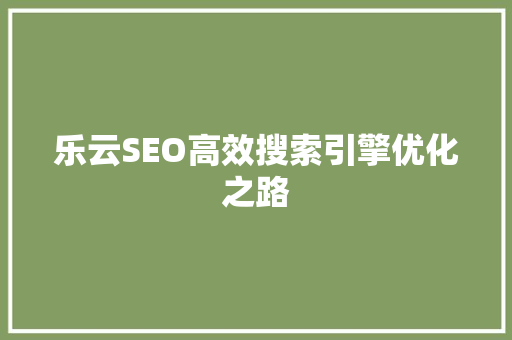 乐云SEO高效搜索引擎优化之路