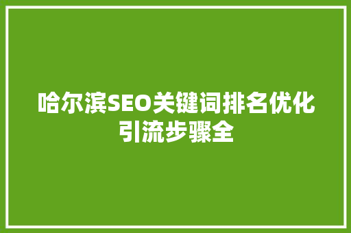 哈尔滨SEO关键词排名优化引流步骤全