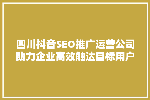四川抖音SEO推广运营公司助力企业高效触达目标用户，抢占流量高地