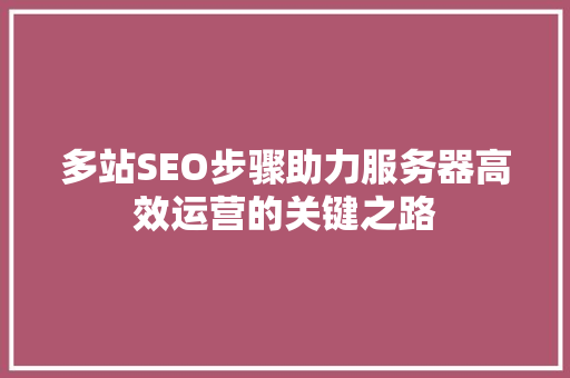 多站SEO步骤助力服务器高效运营的关键之路