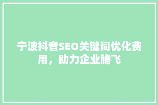 宁波抖音SEO关键词优化费用，助力企业腾飞