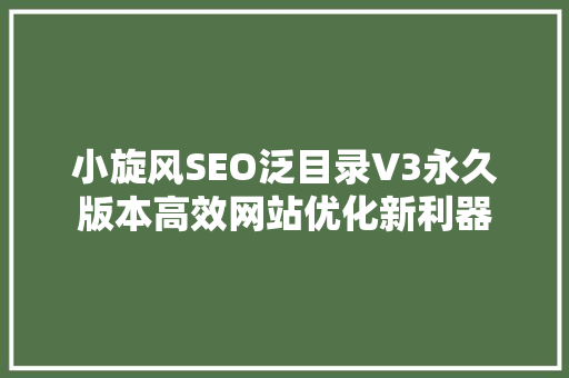 小旋风SEO泛目录V3永久版本高效网站优化新利器