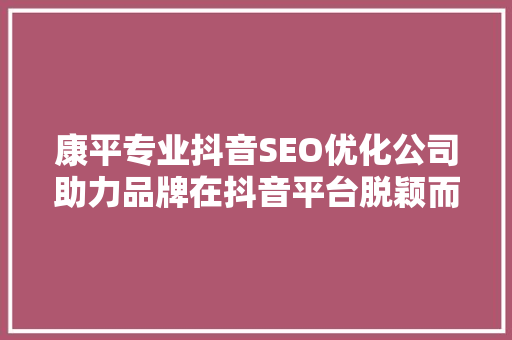 康平专业抖音SEO优化公司助力品牌在抖音平台脱颖而出