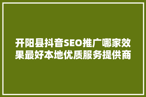 开阳县抖音SEO推广哪家效果最好本地优质服务提供商