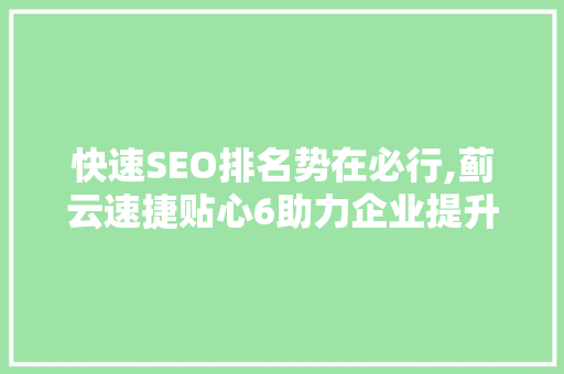 快速SEO排名势在必行,蓟云速捷贴心6助力企业提升网站优化效果