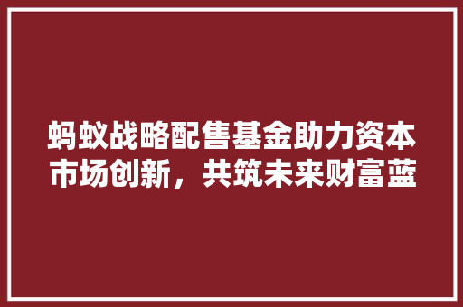蚂蚁战略配售基金助力资本市场创新，共筑未来财富蓝图