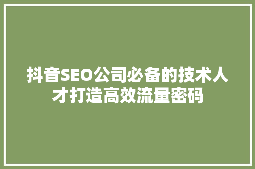 抖音SEO公司必备的技术人才打造高效流量密码