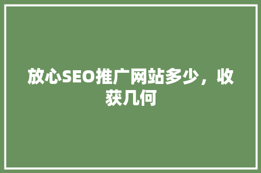 放心SEO推广网站多少，收获几何