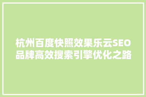 杭州百度快照效果乐云SEO品牌高效搜索引擎优化之路