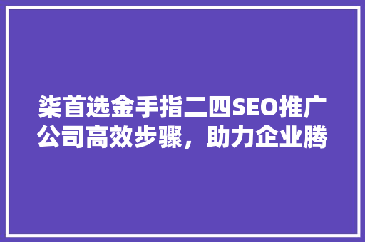 柒首选金手指二四SEO推广公司高效步骤，助力企业腾飞