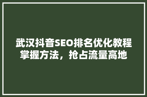 武汉抖音SEO排名优化教程掌握方法，抢占流量高地
