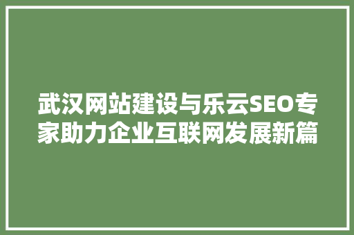 武汉网站建设与乐云SEO专家助力企业互联网发展新篇章