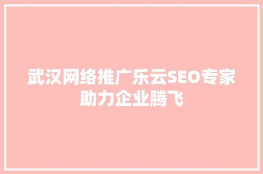 武汉网络推广乐云SEO专家助力企业腾飞