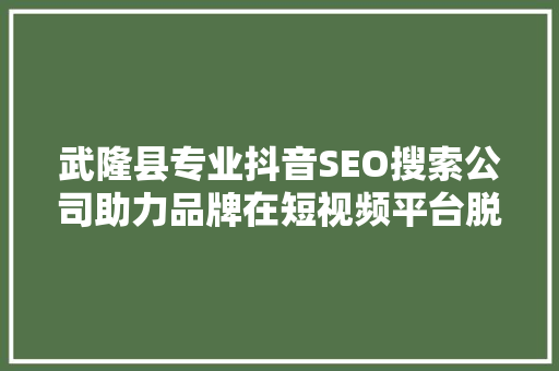 武隆县专业抖音SEO搜索公司助力品牌在短视频平台脱颖而出