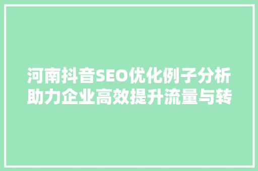 河南抖音SEO优化例子分析助力企业高效提升流量与转化