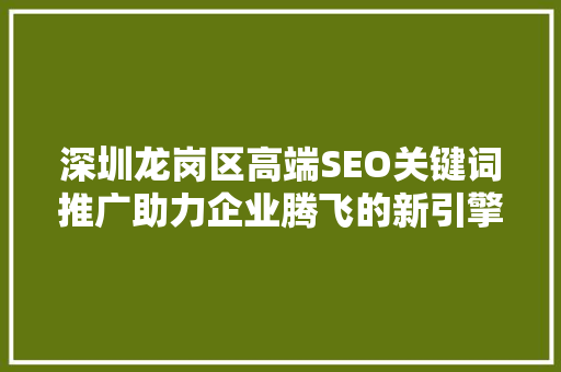深圳龙岗区高端SEO关键词推广助力企业腾飞的新引擎