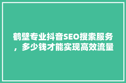 鹤壁专业抖音SEO搜索服务，多少钱才能实现高效流量转化