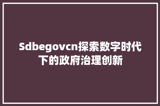 Sdbegovcn探索数字时代下的政府治理创新
