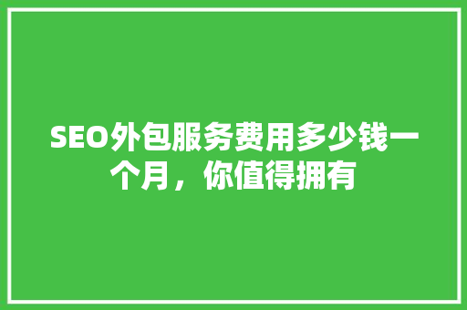 SEO外包服务费用多少钱一个月，你值得拥有