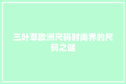 三叶草欧洲尺码时尚界的尺码之谜
