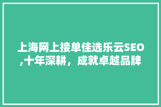 上海网上接单佳选乐云SEO,十年深耕，成就卓越品牌